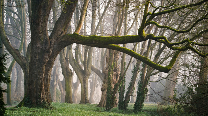 Waarom je als landschapsfotograaf ook een telelens in je cameratas zou moeten hebben 