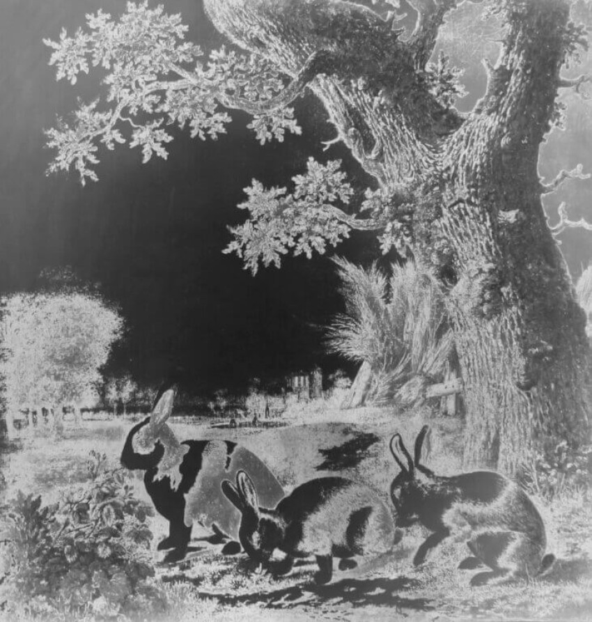 Huis Marseille presenteert Spolia, de eerste institutionele solotentoonstelling in Nederland van de Amerikaanse kunstenaar Lisa Oppenheim. 