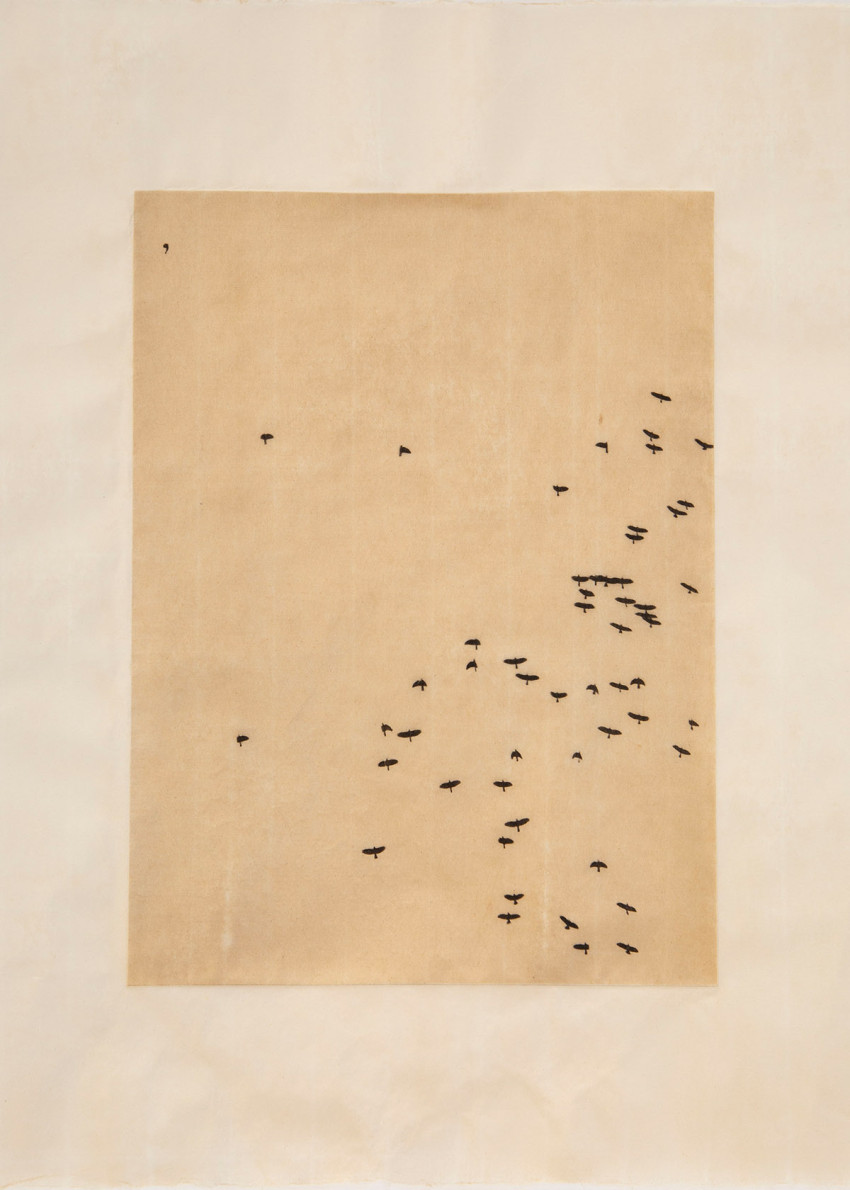 The Way of Water tentoonstelling in beeld