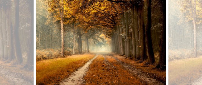Spotlight 26 oktober 2018