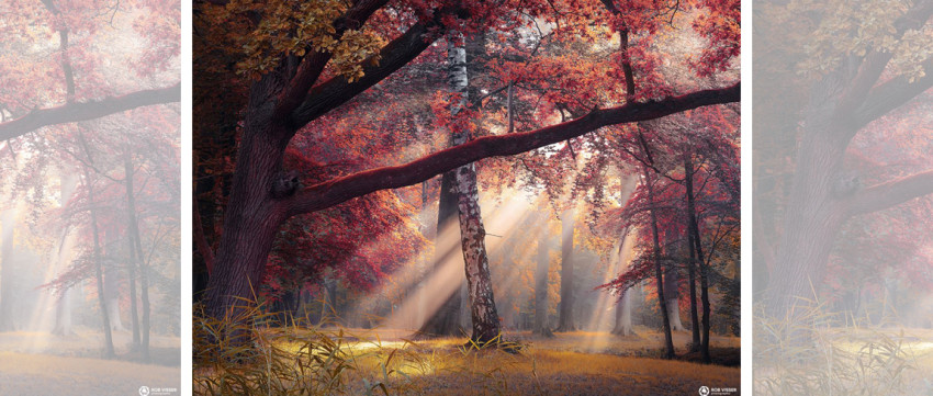 Spotlight 19 oktober 2018