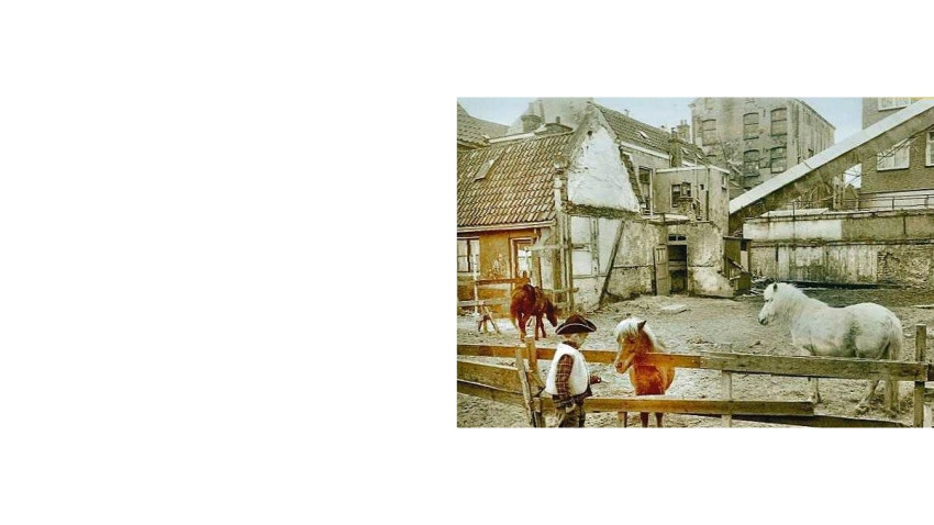 In de Spotlight: de vintage Cowboy-foto van Tieleman van Rijnberk