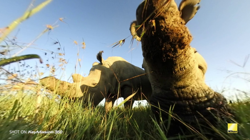 Video: Ami Vitale neemt de Nikon KeyMission 360 mee op avontuur