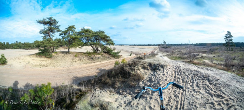 MCOPlus objectieven: maximale creativiteit 