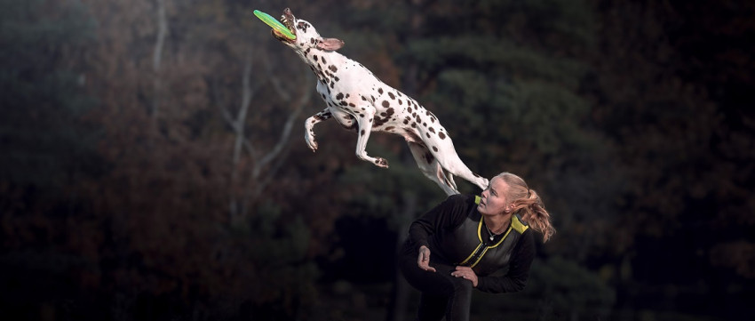 Workshop honden in actie op Fotofair 2020