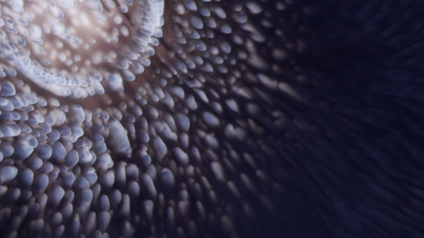 Mustsee: Miniglobelet IV van Beauty of Science – bijzondere microvideo