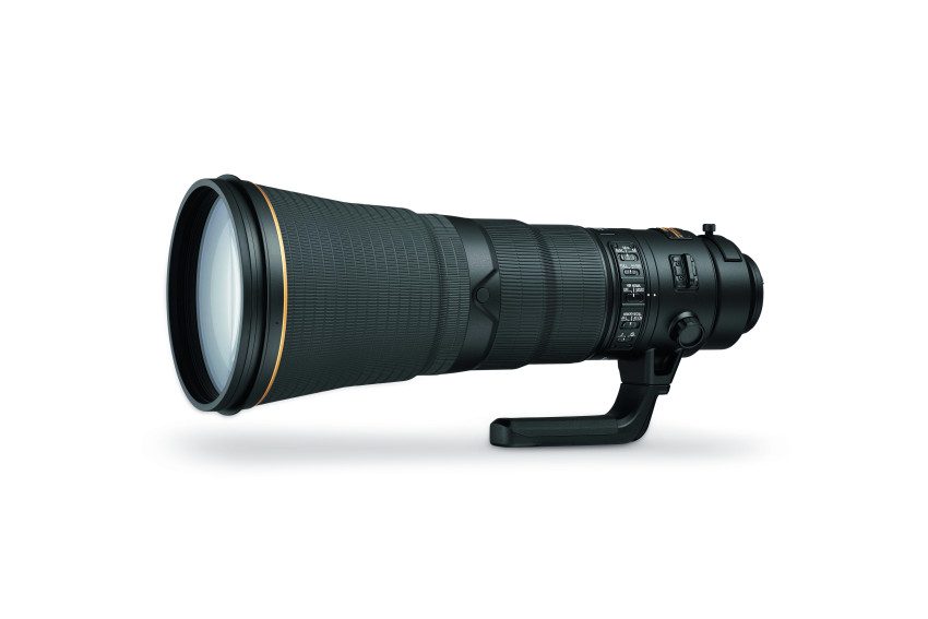 Nikon AF-S 600MM F/4E FL ED VR Praktijktest - Safari in Noordwijk