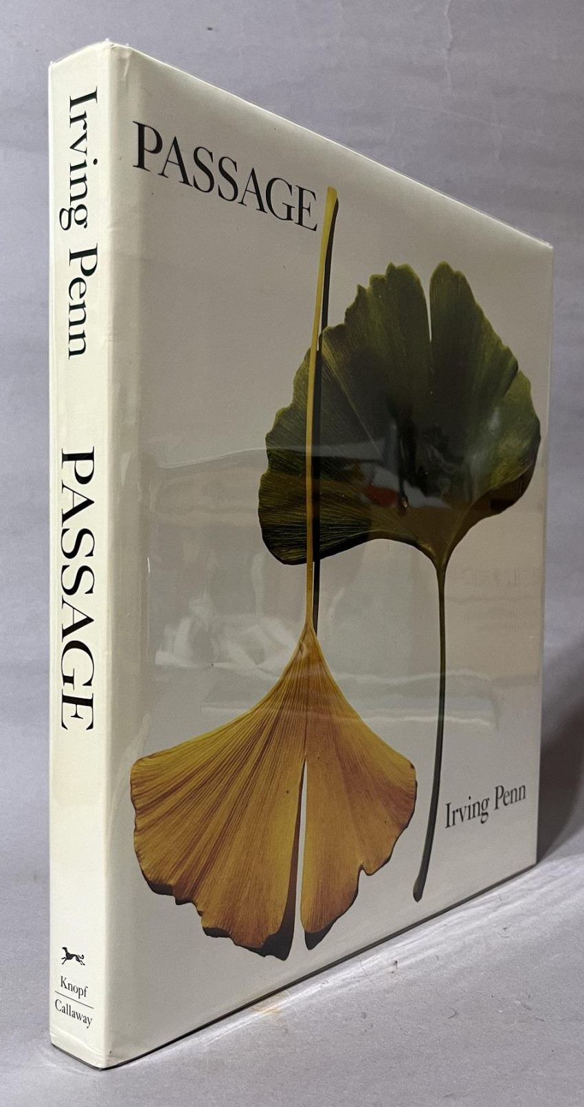 Passage: magistrale bundel van Irving Penn