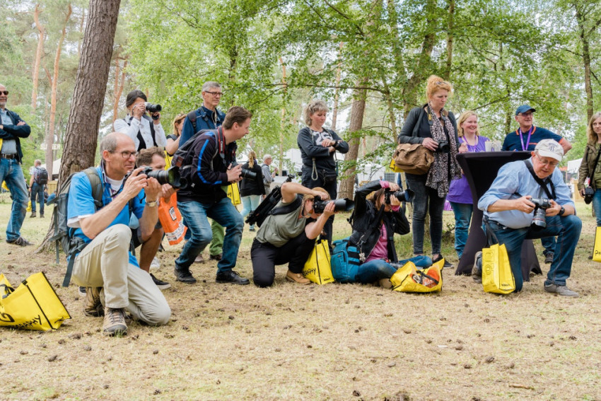 Fotofair 2020: Bezoek de grootste (en leukste!) fotobeurs van de Benelux