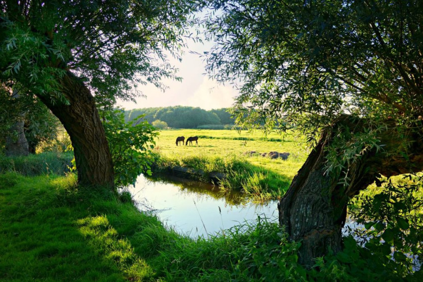 Doe mee met de nieuwe weekopdracht 'Polder'