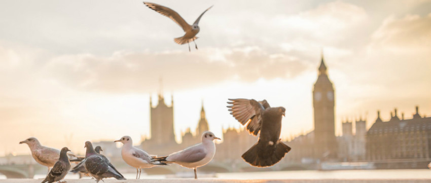 De mooiste fotolocaties ter wereld: Londen, Engeland