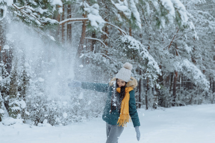 Canon winter cashback op camera's, objectieven en printers