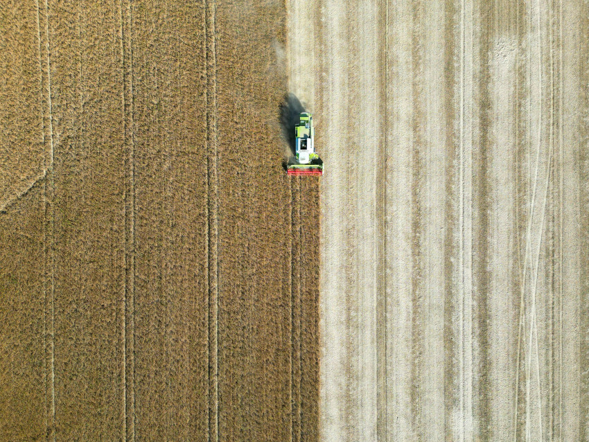 De Psychologie van Kleur in Fotografie en Verder