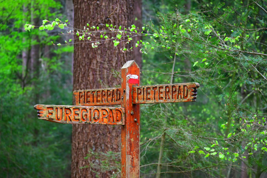 Pieterpad fotograferen: route vol contrast