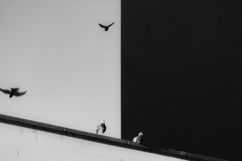 Contrast in fotografie: dit gaat vaak mis