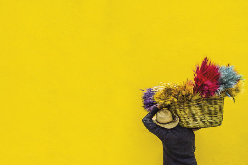 De winnaars van All About Photo magazine #14 Colors