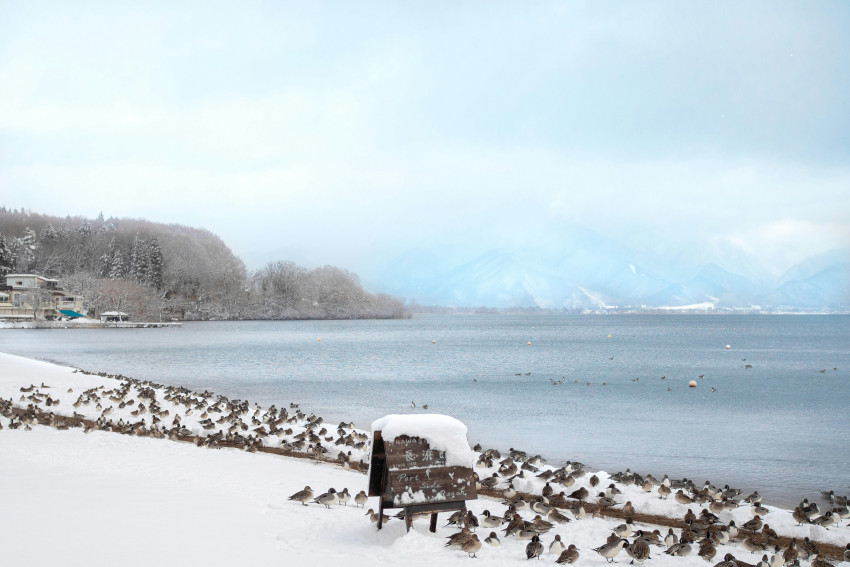 Tohoku fotografie: ruige landschappen en stilte
