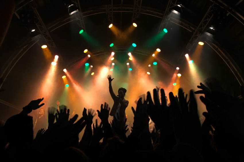 Muzikanten in actie: deze foto's gingen de hele wereld over