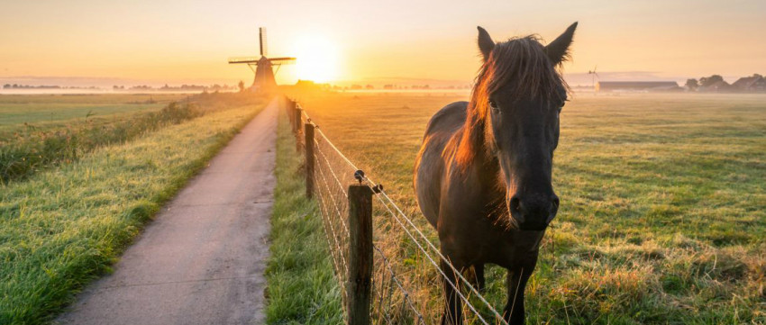 Spotlight Weekwinnaar #42 - 2018