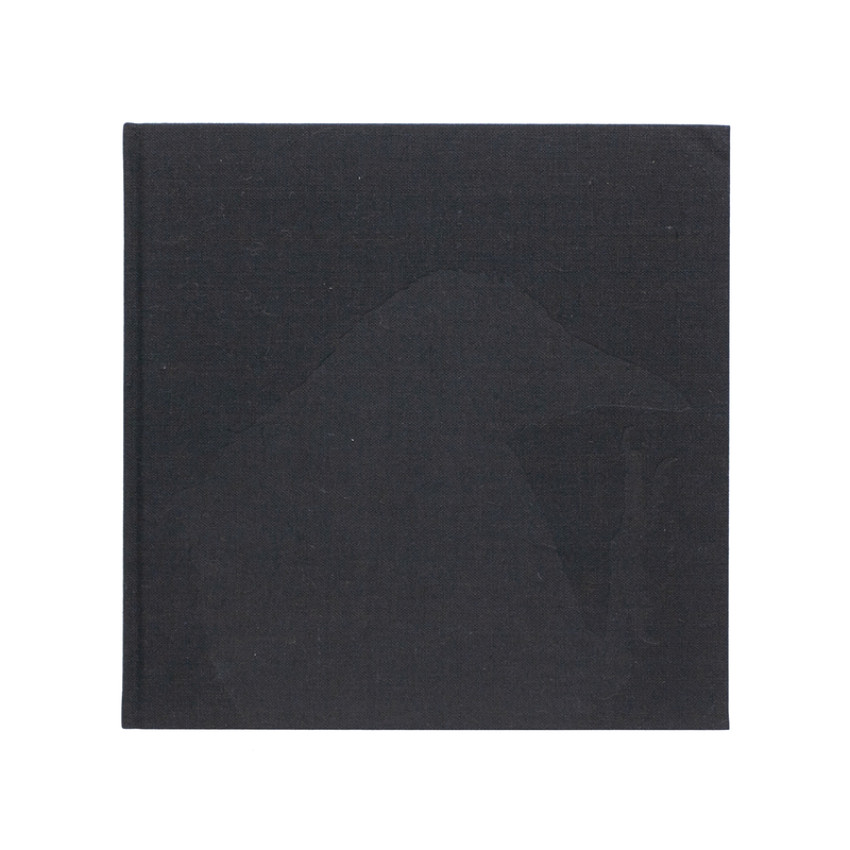De impact van Karasu - Masahisa Fukase