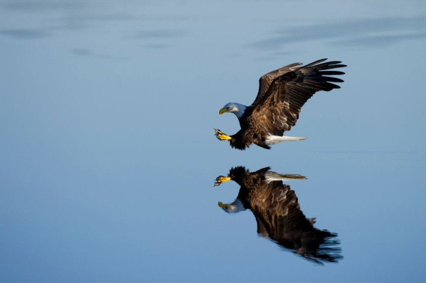 Tien tips om betere foto’s te maken