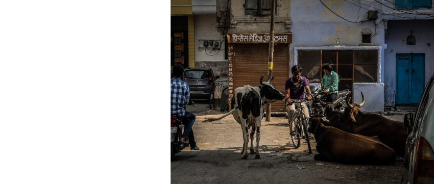 Expositie: Fascinating India van John Seegers