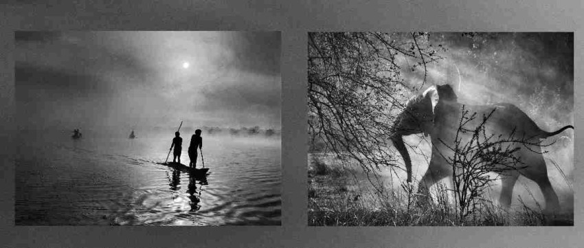 Tentoonstelling Genesis van Sebastião Salgado wegens succes verlengd