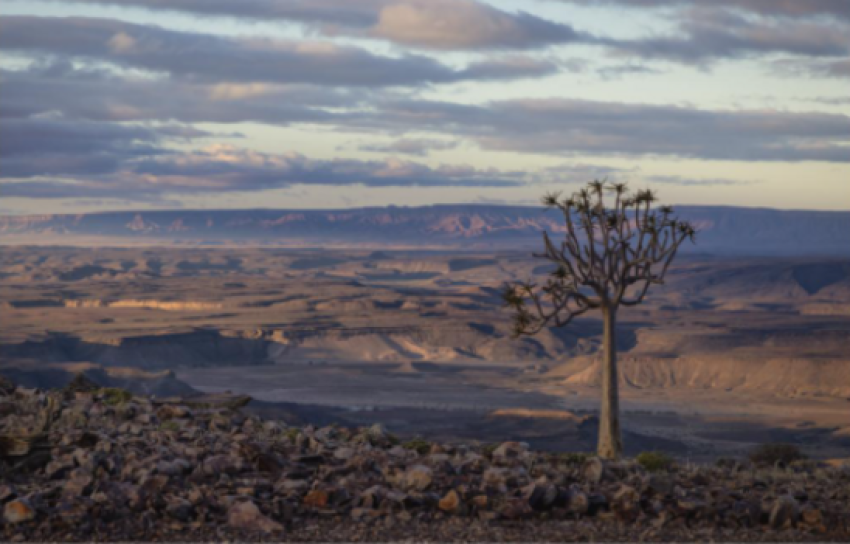 Preview Karin de Bruin – De landschappen van Namibië