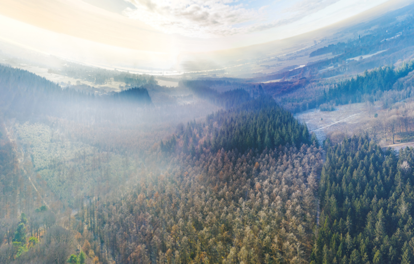 Nederlandse natuur in 360° te zien in Den Haag