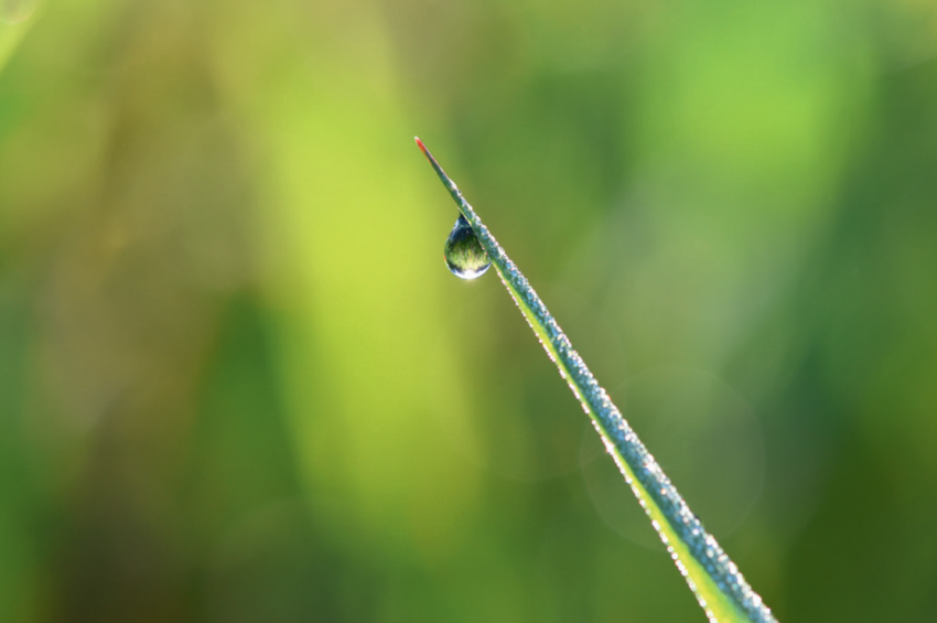 Preview – Van DIGIFOTO-fan naar exposerend fototalent