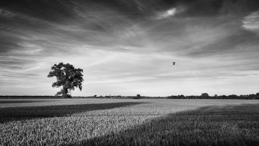 In de spotlight: ‘Sometimes silence is a really good answer’ van Boudewijn De Busschere 