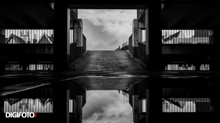 Spotlight van de week #17 | DIGIFOTO Pro Gallery