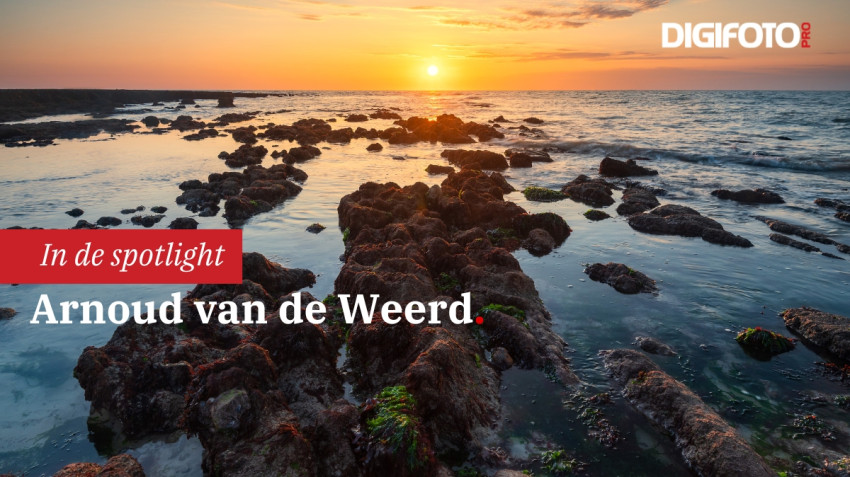 Spotlight van de week #31 | DIGIFOTO Pro Gallery