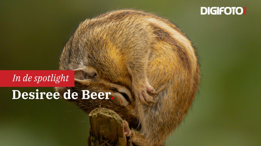 Spotlight van de week #38 | DIGIFOTO Pro Gallery
