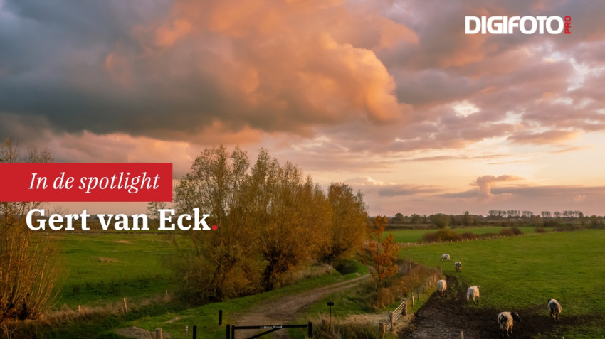 Spotlight van de week #48 | DIGIFOTO Pro Gallery