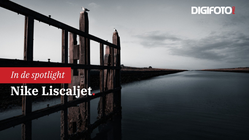 Spotlight van de week #50 | DIGIFOTO Pro Gallery