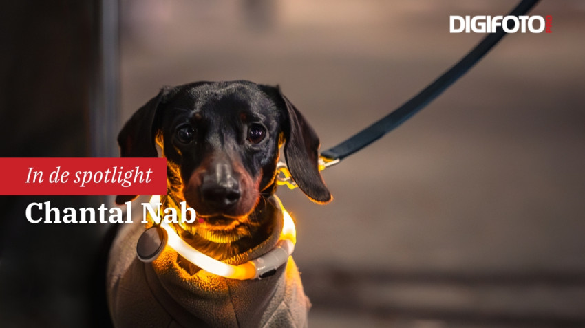 Spotlight van de week #4 | DIGIFOTO Pro Gallery