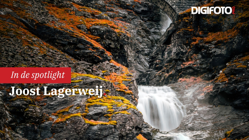 Spotlight van de week #5 | DIGIFOTO Pro Gallery