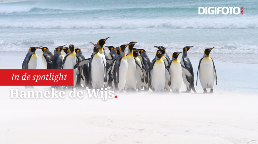 Spotlight van de week #15 | DIGIFOTO Pro Gallery