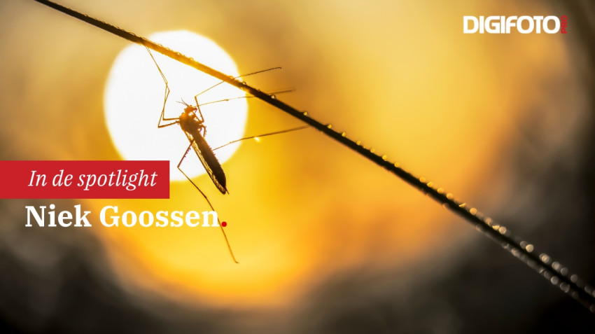 Spotlight van de week #25 | DIGIFOTO Pro Gallery
