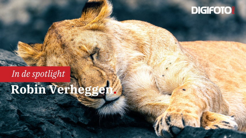 Spotlight van de week #27 | DIGIFOTO Pro Gallery