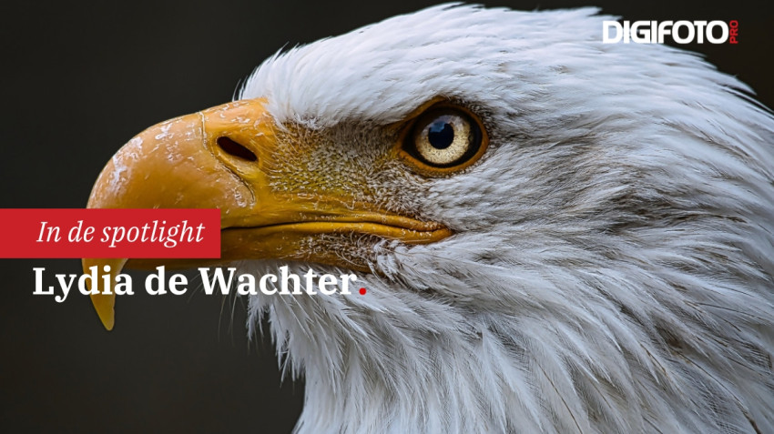 Spotlight van de week #28 | DIGIFOTO Pro Gallery