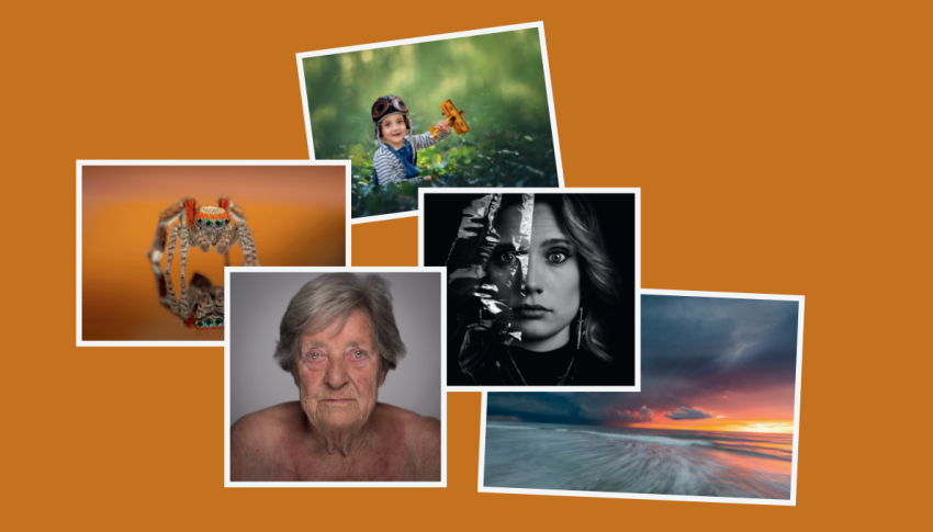 Preview – De top 5 Spotlights van 2025
