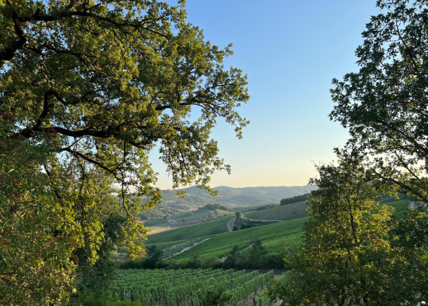 Vijf fotogenieke plekken in het toch al wonderschone Toscane