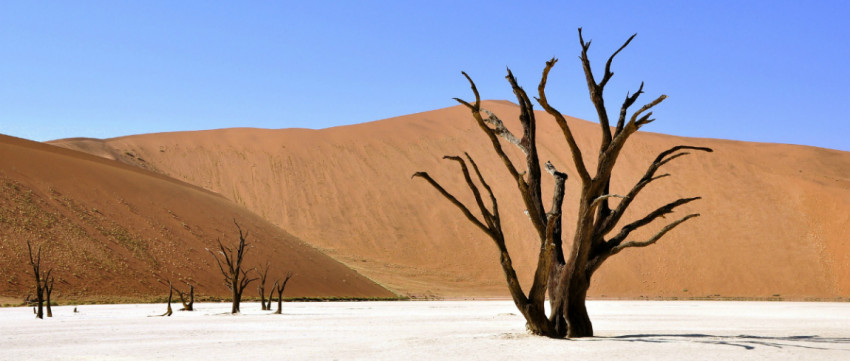 De mooiste fotolocaties: Deadvlei, Namibië