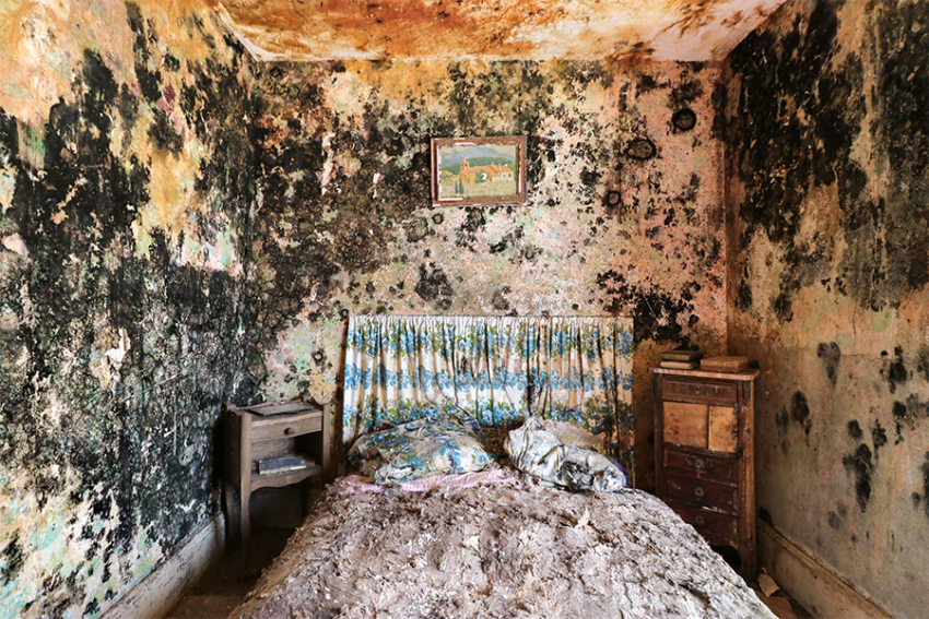 Fotografie van verval in ‘De overgave’