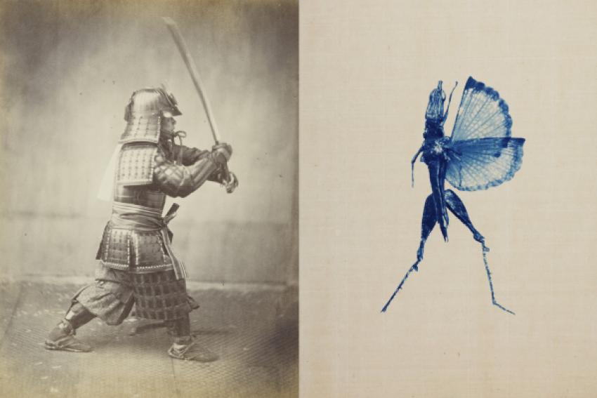 Ekō - Japan in twee beeldverhalen