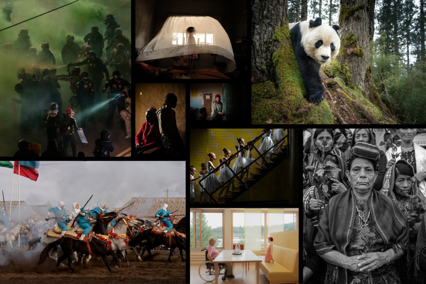 World Press Photo 2026: beelden die raken