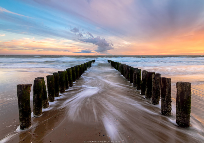 In de Spotlight: Wet Feet van Arnoud van de Weerd