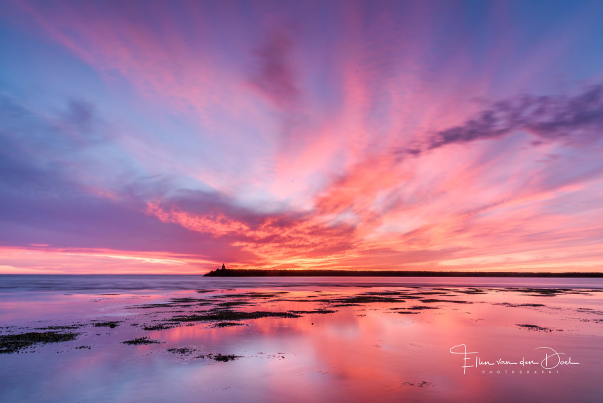 In de spotlight: ‘Spectacular Sunset’ van Ellen Kievit - van den Doel